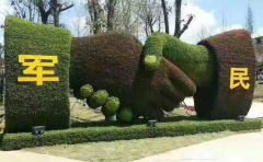 四川汶川建軍節(jié)植物綠雕