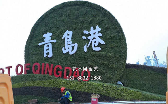 山東青島八一建軍節(jié)五色草造型現(xiàn)場實拍圖