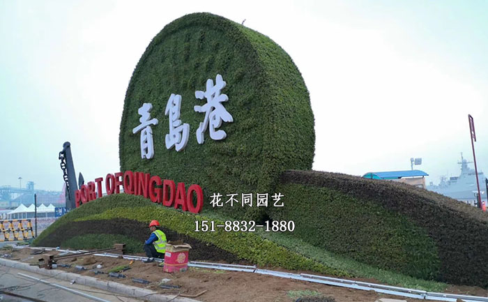 山東青島八一建軍節(jié)五色草造型側面實拍圖