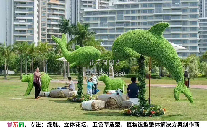 植物綠雕動(dòng)物造型-海豚實(shí)拍圖