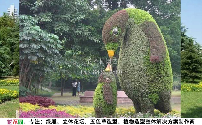 植物綠雕動(dòng)物造型-企鵝實(shí)拍圖