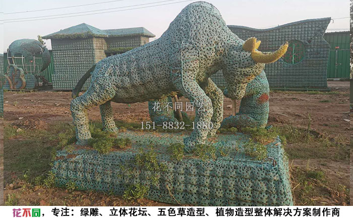 植物綠雕動(dòng)物造型骨架-公?，F(xiàn)場實(shí)拍圖