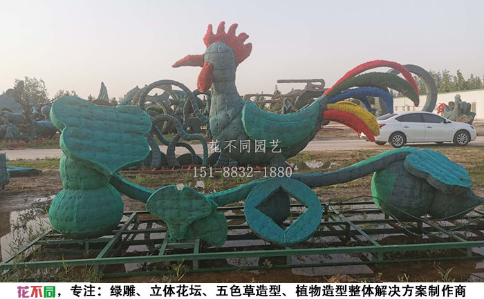 植物綠雕動(dòng)物造型骨架-公雞現(xiàn)場實(shí)拍圖
