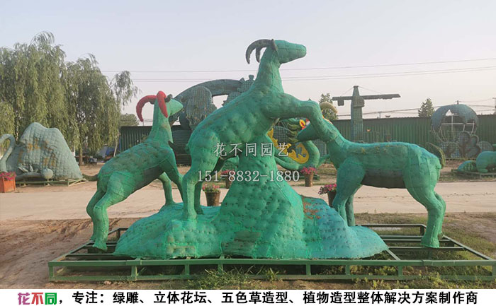 植物綠雕動(dòng)物造型骨架-三羊開泰現(xiàn)場實(shí)拍圖