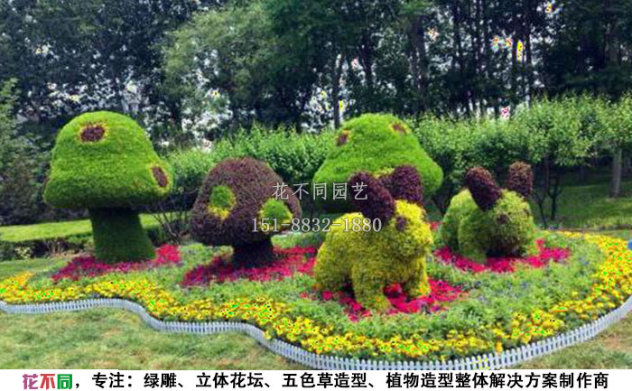 仿真動(dòng)物綠雕-小白兔現(xiàn)場(chǎng)實(shí)拍圖