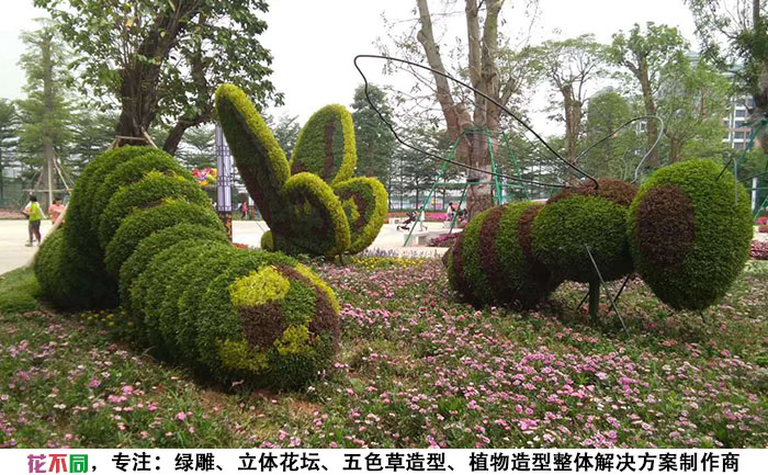 國慶綠雕綠植工藝品-毛毛蟲照片