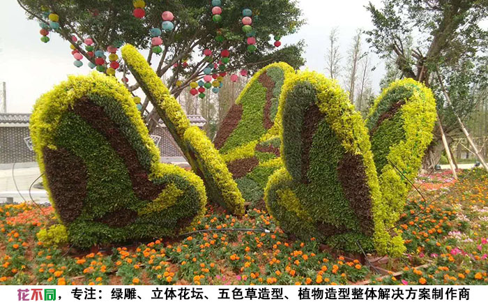 國慶綠雕綠植工藝品-蝴蝶照片