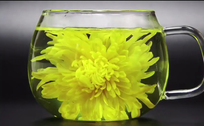 金絲皇菊菊花茶實(shí)拍照