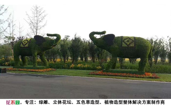 動(dòng)物景觀綠雕造型-大象現(xiàn)場(chǎng)實(shí)拍圖片