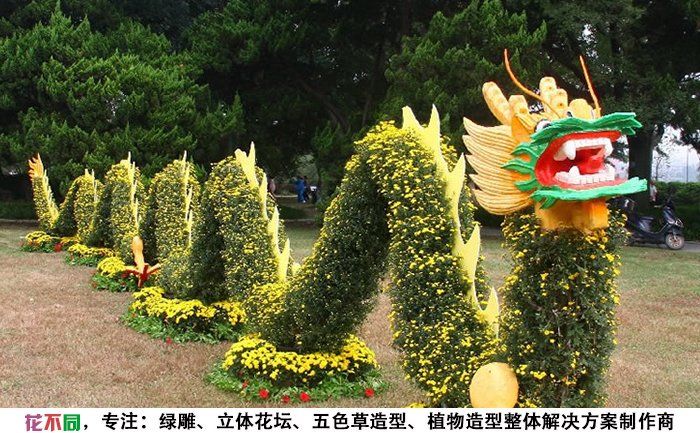 園藝工人在對菊花造型進行修剪作業(yè)