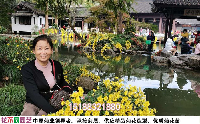 工人在菊花節(jié)現(xiàn)場(chǎng)施工