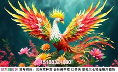 國慶主題綠雕方案-“祖國騰飛，萬象更新”