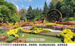 如何提升菊花展覽視覺(jué)效果