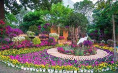 宿根花卉病蟲害防治大全｜8大病害診斷與有機(jī)防
