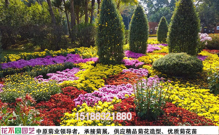 菊花花?；焐M合設(shè)計配色方案