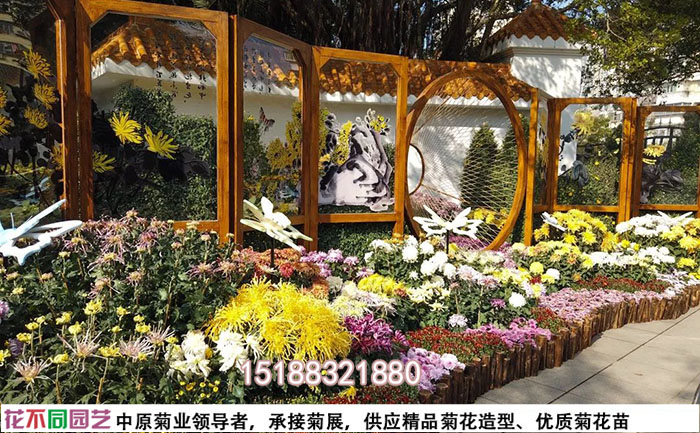 旅游景區(qū)菊花花海設(shè)計(jì)方案成功案例