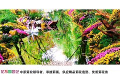 低成本菊花花海種植技術(shù)-降本增效方案與實施標(biāo)