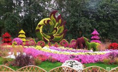 菊花景觀設(shè)計案例實拍-精品項目解析