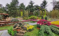 菊花花海綠雕組合景觀設(shè)計-立體造型技術(shù)標(biāo)準(zhǔn)