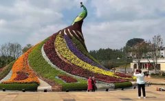 公園景觀五色草苗設(shè)計(jì)方案｜施工與養(yǎng)護(hù)指南