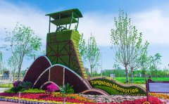 五色草種苗主造景方案與創(chuàng)新應(yīng)用實(shí)例